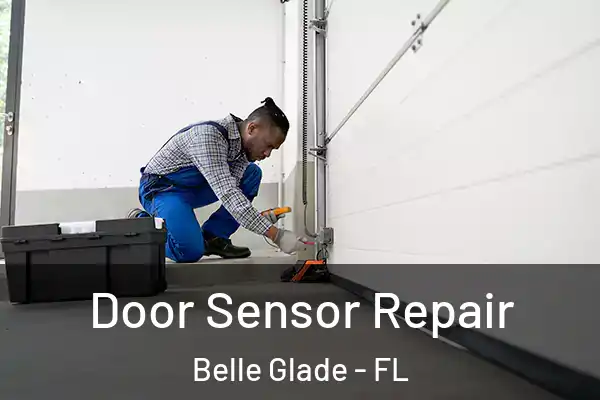 Door Sensor Repair Belle Glade - FL